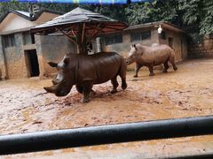 -昆明动物园