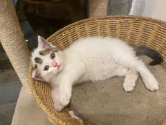 -南花桥羊肉馆老字号(乌镇店)