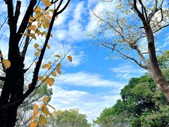 -乌山风景区