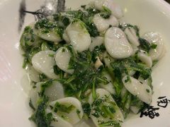 -风味小吃(浦东南路2368)