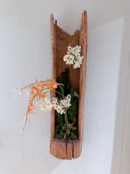 -香秀空间科技抗衰·美容中心