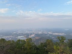 -水濂山森林公园