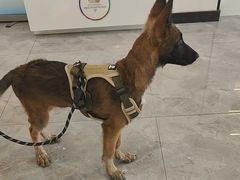-贝康宠物医院·犬猫全科·小动物特色诊疗中心(东环路店)