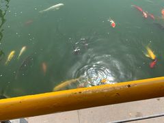 -石家庄市植物园