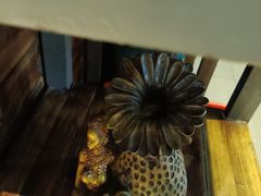 -湘当爱·鲜煮现炒(松岗立业路店)