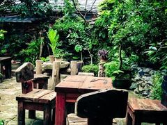 -小洲村