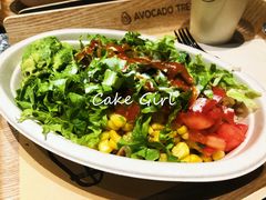 -油梨树AVOCADO TREE(望京店)