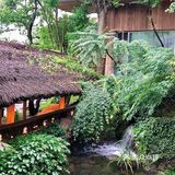 湘潭的！！湘江边美到失语的园林庭院餐厅🍃