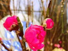 -大宁灵石公园西门票处