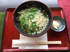抹茶荞麦面-中村藤吉(平等院店 )