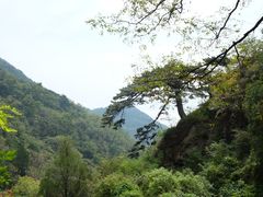 -泰山风景名胜区