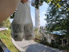 -茶颜悦色(岳麓山顶店)