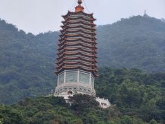 -深圳仙湖植物园