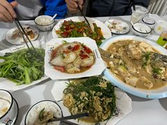 -煲来饱去冷水鱼