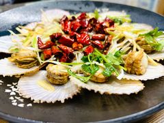 -鲁前海沿儿