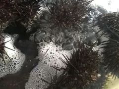 -海味当家(西安路店)