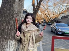 -北京国子监胡同