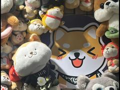 -逗柴咖啡屋·狗咖猫咖宠物桌游