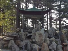景点-庐山风景区花径公园
