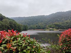 -桃花岭景区