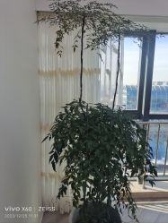 -HEYAN荷妍专业脱毛连锁机构
