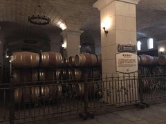-北京张裕爱斐堡酒庄