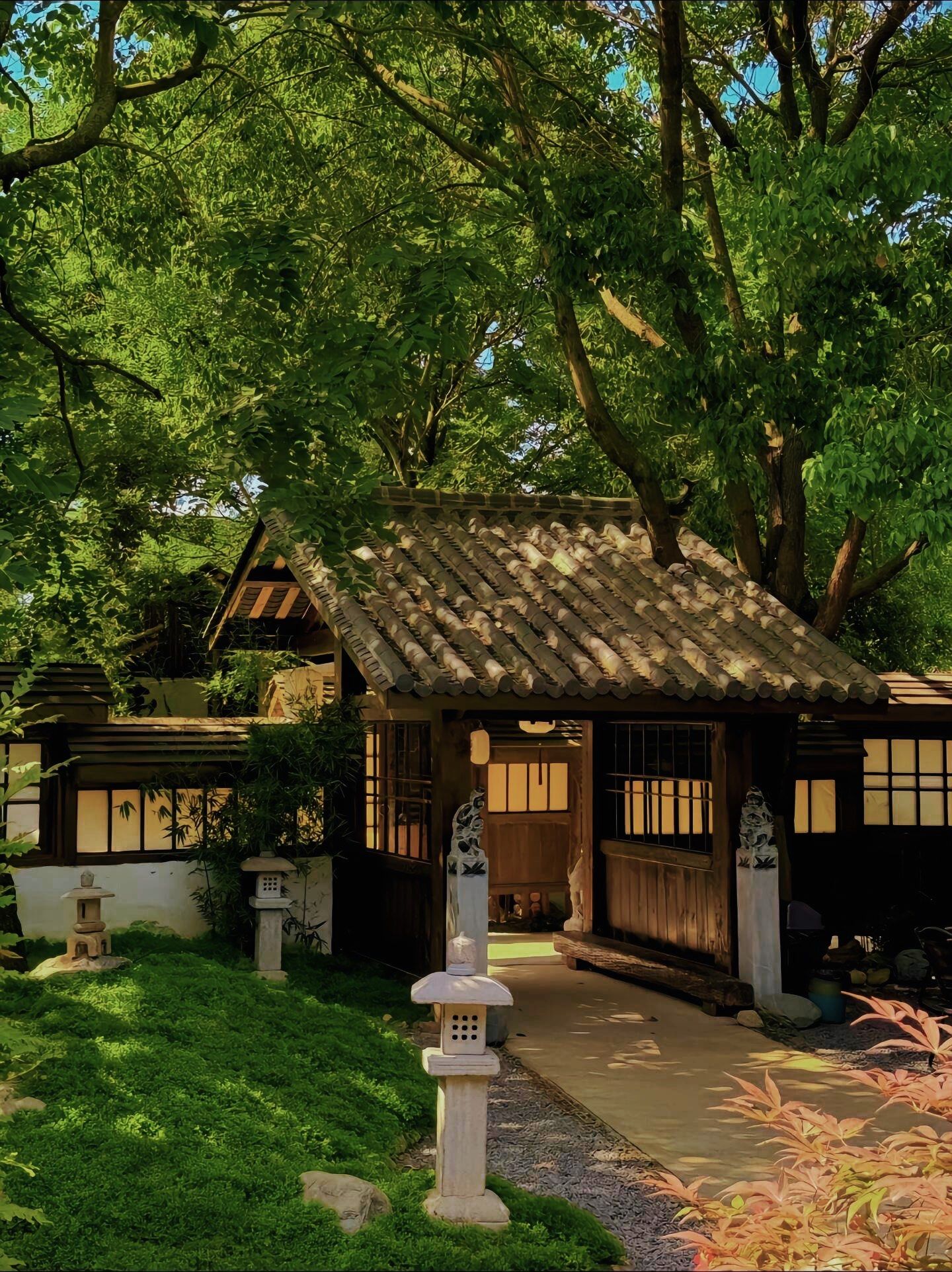 这种国风江南小院也太好住了吧#最美庭院 #最美民宿大赏 #寻一处幽静