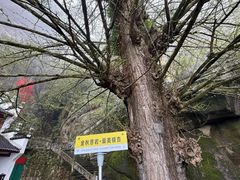 -大慈岩风景区
