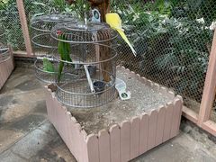 -南宫五洲植物乐园