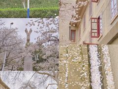 -武汉大学-樱园