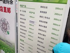 -张一元(总店)