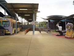 -威勒比开放式动物园