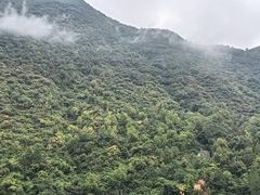 -塔云山