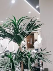 -凯博K-boom Hair Salon