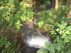 -同里国家湿地公园