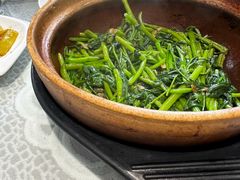 -熠盛粤味·顺德桑拿鸡(永康路店)