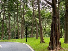 -广州雕塑公园