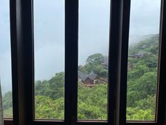 -三亚亚龙湾人间天堂鸟巢度假村