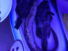 -俏东方·海味水饺·青岛菜(崂山店)