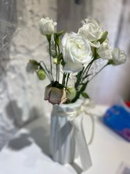 -雅曼妮spa美容养生