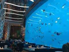 -瑞德姆美人鱼海底演艺主题餐厅(亚龙湾店)
