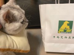 -半岛宠物医院24小时(科华中路店)