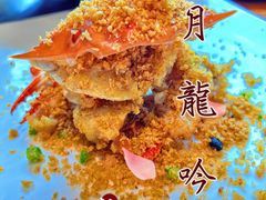 -月龍吟(朝龙汇店)