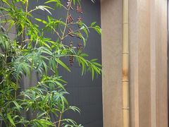 -皇厨荣升名厨家宴.赣州客家菜(金鹏怡和园店)