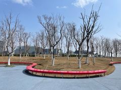 -春花秋色城市公园