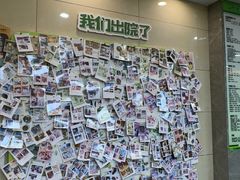 -半岛宠物医院24小时(白果林店)