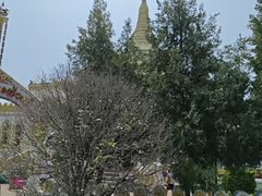 -洛阳白马寺