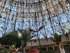 -西峡恐龙遗迹园