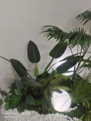 -HEYAN荷妍专业脱毛连锁机构