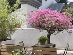 -禾气食店